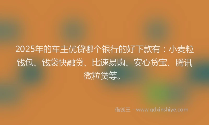 2025年的车主优贷哪个银行的好下款有：小麦粒钱包、钱袋快融贷、比速易购、安心贷宝、腾讯微粒贷等。