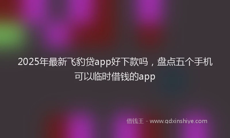 2025年最新飞豹贷app好下款吗，盘点五个手机可以临时借钱的app