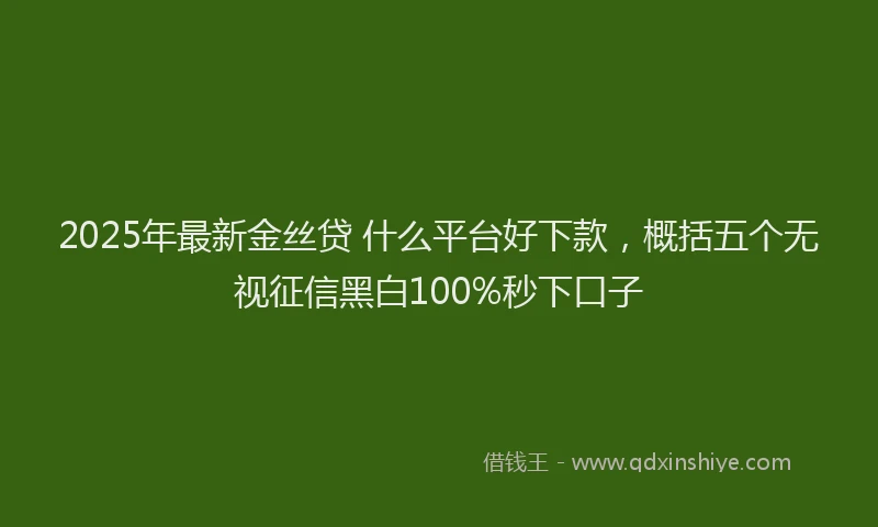 2025年最新金丝贷 什么平台好下款，概括五个无视征信黑白100%秒下口子