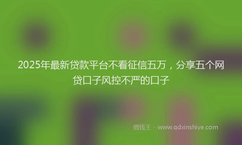 2025年最新贷款平台不看征信五万，分享五个网贷口子风控不严的口子