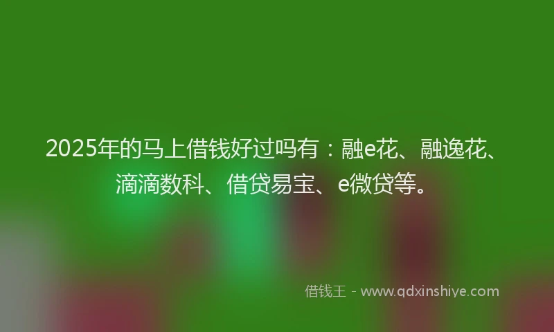 2025年的马上借钱好过吗有：融e花、融逸花、滴滴数科、借贷易宝、e微贷等。