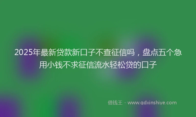 2025年最新贷款新口子不查征信吗，盘点五个急用小钱不求征信流水轻松贷的口子
