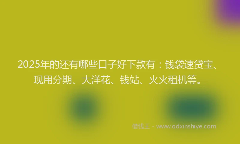2025年的还有哪些口子好下款有：钱袋速贷宝、现用分期、大洋花、钱站、火火租机等。