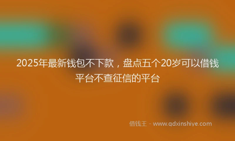2025年最新钱包不下款，盘点五个20岁可以借钱平台不查征信的平台