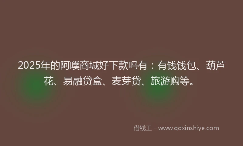 2025年的阿噗商城好下款吗有：有钱钱包、葫芦花、易融贷盒、麦芽贷、旅游购等。