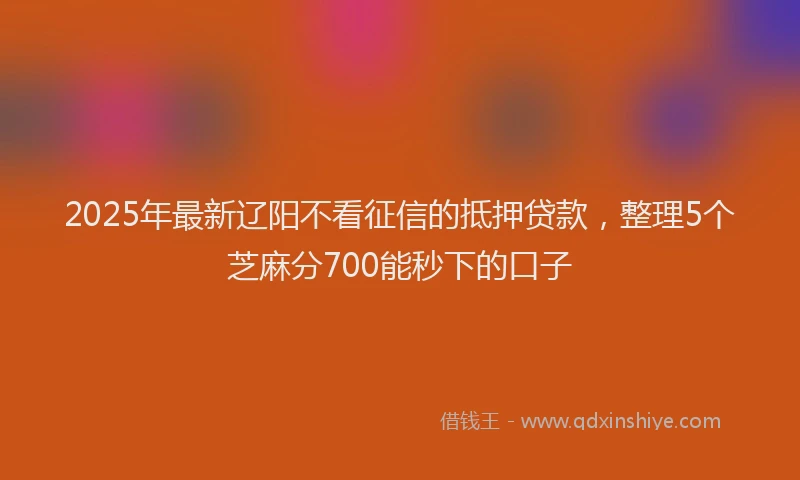 2025年最新辽阳不看征信的抵押贷款，整理5个芝麻分700能秒下的口子