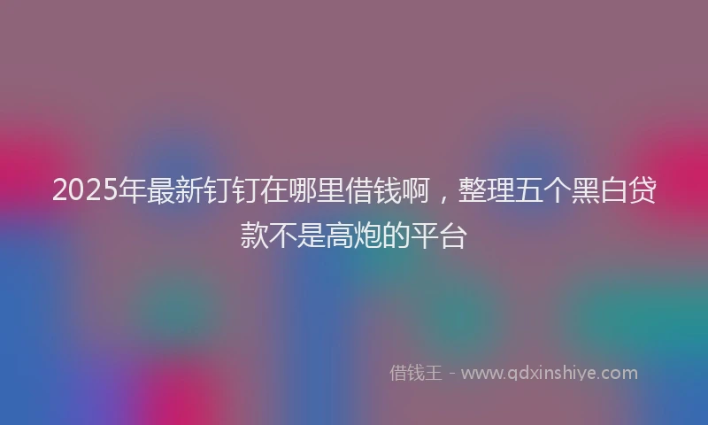 2025年最新钉钉在哪里借钱啊，整理五个黑白贷款不是高炮的平台