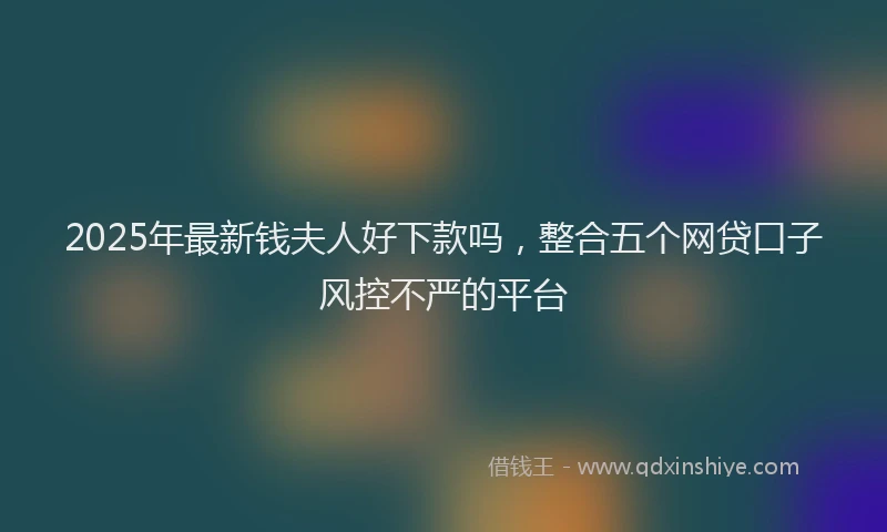 2025年最新钱夫人好下款吗，整合五个网贷口子风控不严的平台