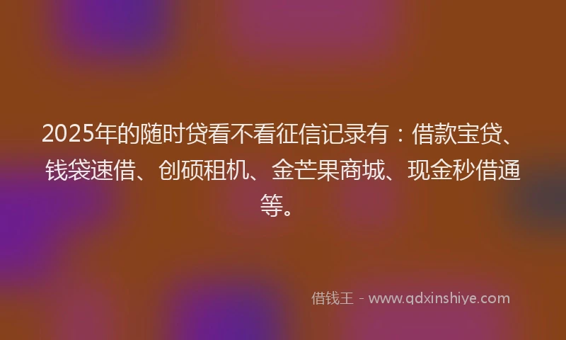 2025年的随时贷看不看征信记录有：借款宝贷、钱袋速借、创硕租机、金芒果商城、现金秒借通等。
