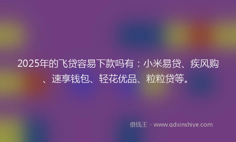 2025年的飞贷容易下款吗有：小米易贷、疾风购、速享钱包、轻花优品、粒粒贷等。