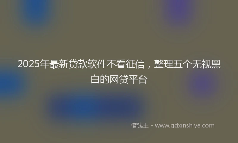 2025年最新贷款软件不看征信，整理五个无视黑白的网贷平台