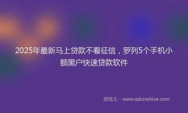 2025年最新马上贷款不看征信，罗列5个手机小额黑户快速贷款软件