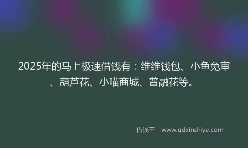 2025年的马上极速借钱有：维维钱包、小鱼免审、葫芦花、小喵商城、普融花等。