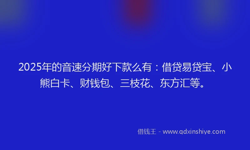 2025年的音速分期好下款么有：借贷易贷宝、小熊白卡、财钱包、三枝花、东方汇等。