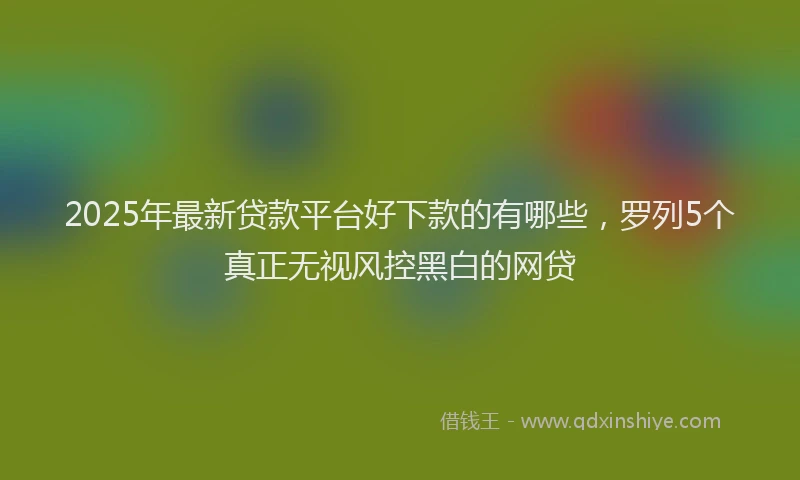 2025年最新贷款平台好下款的有哪些，罗列5个真正无视风控黑白的网贷