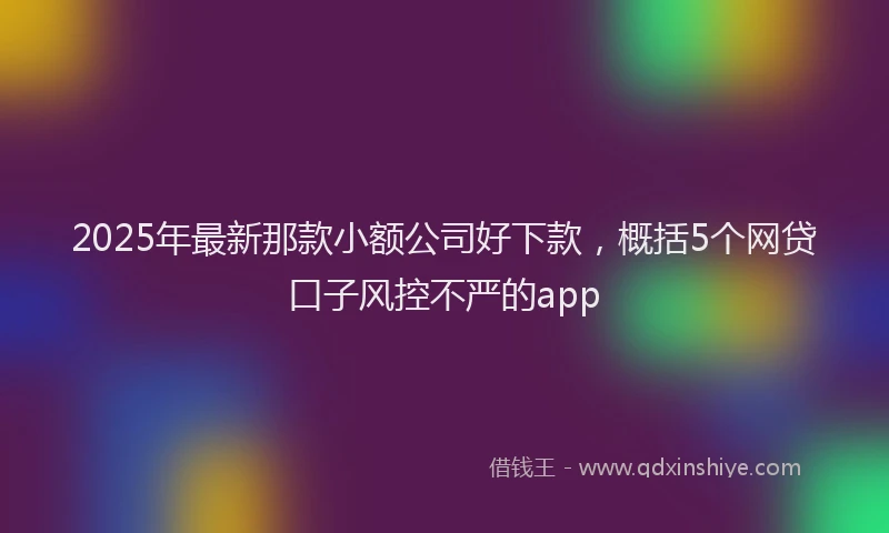 2025年最新那款小额公司好下款，概括5个网贷口子风控不严的app