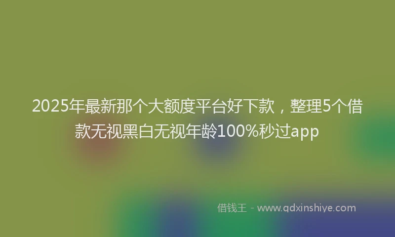 2025年最新那个大额度平台好下款，整理5个借款无视黑白无视年龄100%秒过app