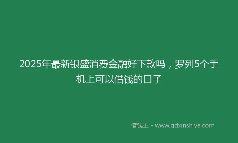 2025年最新银盛消费金融好下款吗，罗列5个手机上可以借钱的口子