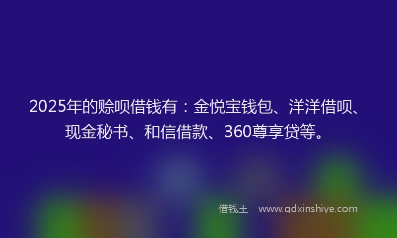 2025年的赊呗借钱有：金悦宝钱包、洋洋借呗、现金秘书、和信借款、360尊享贷等。