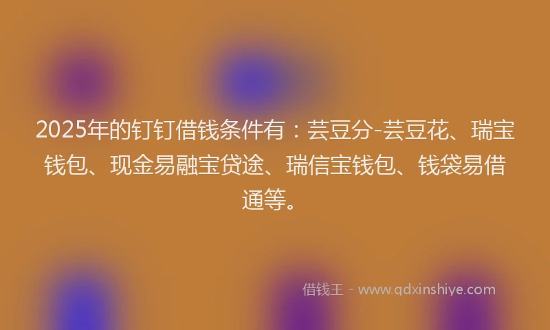 2025年的钉钉借钱条件有：芸豆分-芸豆花、瑞宝钱包、现金易融宝贷途、瑞信宝钱包、钱袋易借通等。