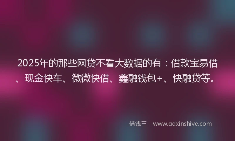 2025年的那些网贷不看大数据的有：借款宝易借、现金快车、微微快借、鑫融钱包+、快融贷等。