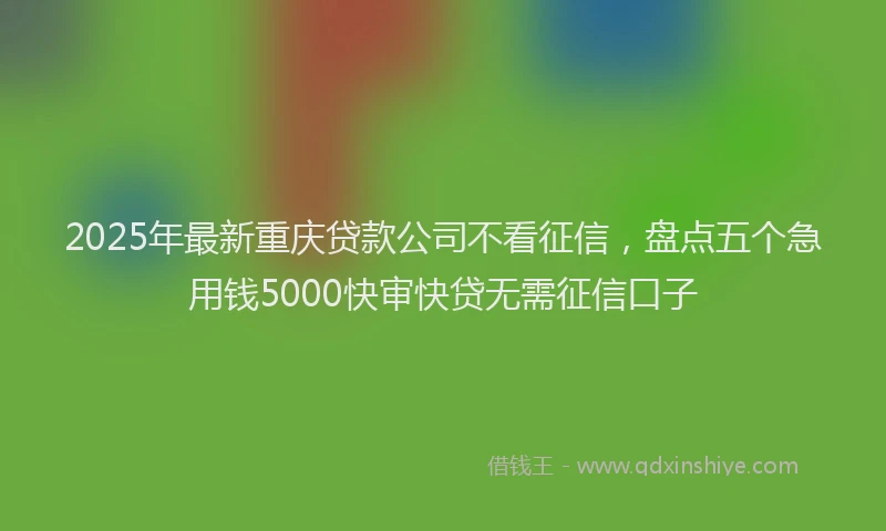 2025年最新重庆贷款公司不看征信，盘点五个急用钱5000快审快贷无需征信口子