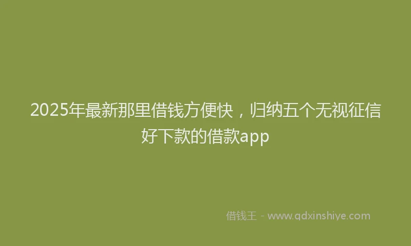 2025年最新那里借钱方便快，归纳五个无视征信好下款的借款app