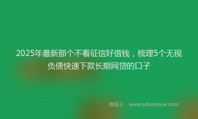 2025年最新那个不看征信好借钱，梳理5个无视负债快速下款长期网贷的口子