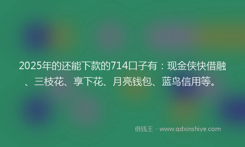 2025年的还能下款的714口子有：现金侠快借融、三枝花、享下花、月亮钱包、蓝鸟信用等。