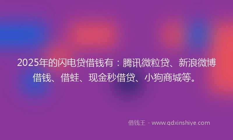 2025年的闪电贷借钱有：腾讯微粒贷、新浪微博借钱、借蛙、现金秒借贷、小狗商城等。