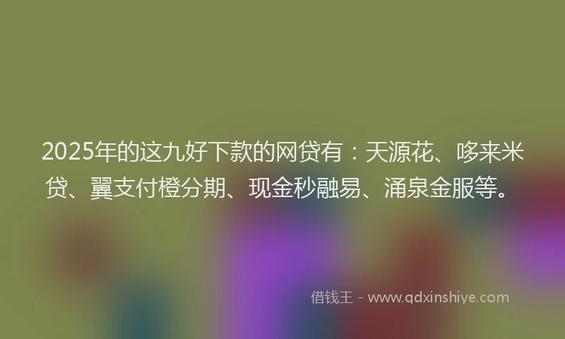 2025年的这九好下款的网贷有：天源花、哆来米贷、翼支付橙分期、现金秒融易、涌泉金服等。