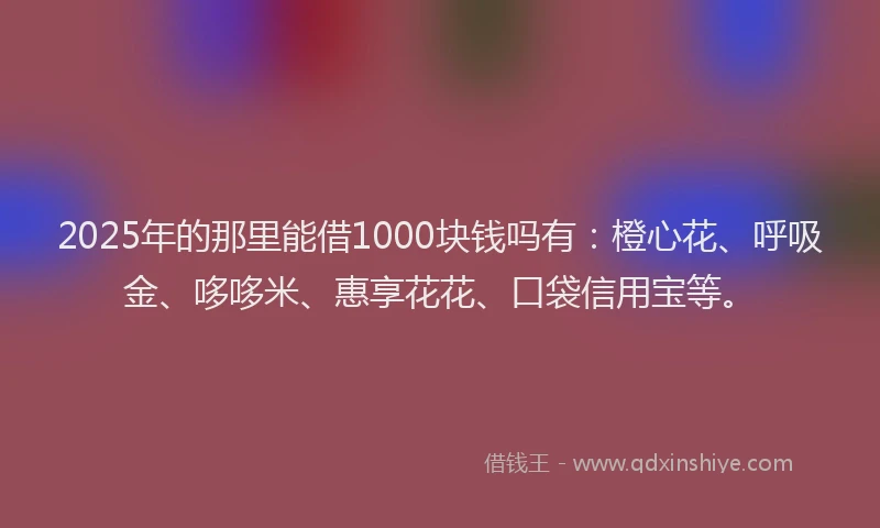 2025年的那里能借1000块钱吗有：橙心花、呼吸金、哆哆米、惠享花花、口袋信用宝等。
