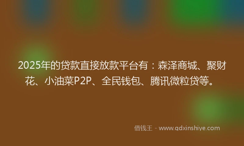 2025年的贷款直接放款平台有：森泽商城、聚财花、小油菜P2P、全民钱包、腾讯微粒贷等。