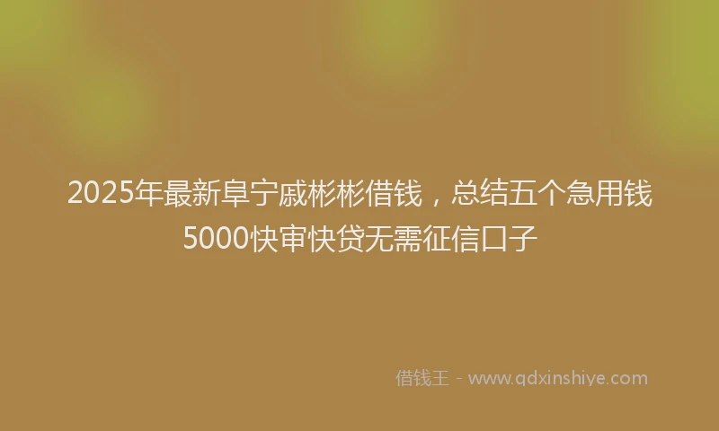 2025年最新阜宁戚彬彬借钱，总结五个急用钱5000快审快贷无需征信口子