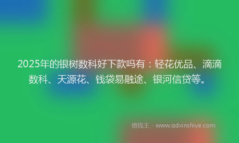2025年的银树数科好下款吗有：轻花优品、滴滴数科、天源花、钱袋易融途、银河信贷等。
