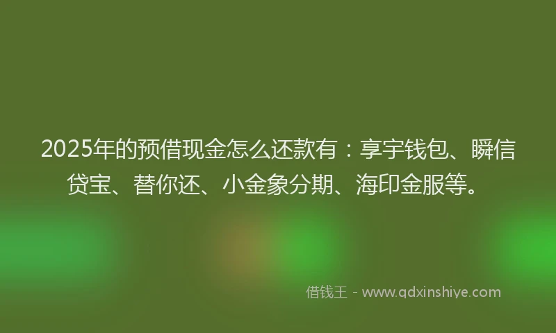 2025年的预借现金怎么还款有：享宇钱包、瞬信贷宝、替你还、小金象分期、海印金服等。