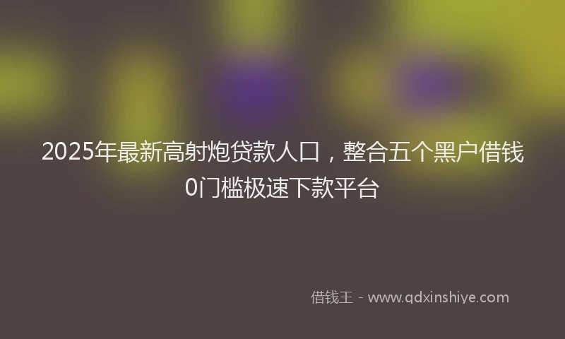 2025年最新高射炮贷款人口，整合五个黑户借钱0门槛极速下款平台