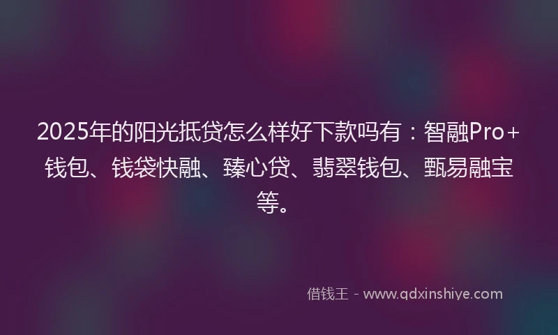 2025年的阳光抵贷怎么样好下款吗有：智融Pro+钱包、钱袋快融、臻心贷、翡翠钱包、甄易融宝等。