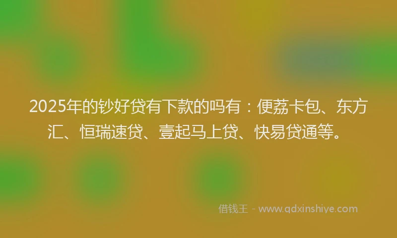 2025年的钞好贷有下款的吗有：便荔卡包、东方汇、恒瑞速贷、壹起马上贷、快易贷通等。