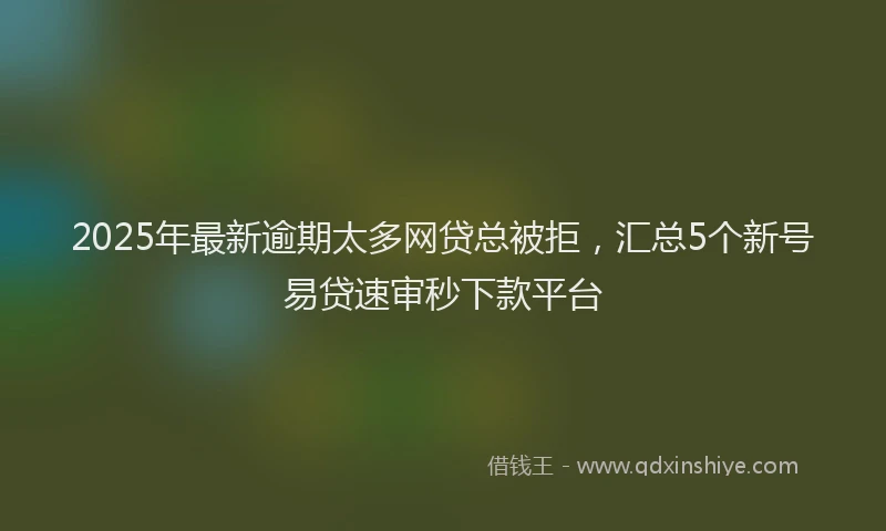 2025年最新逾期太多网贷总被拒，汇总5个新号易贷速审秒下款平台