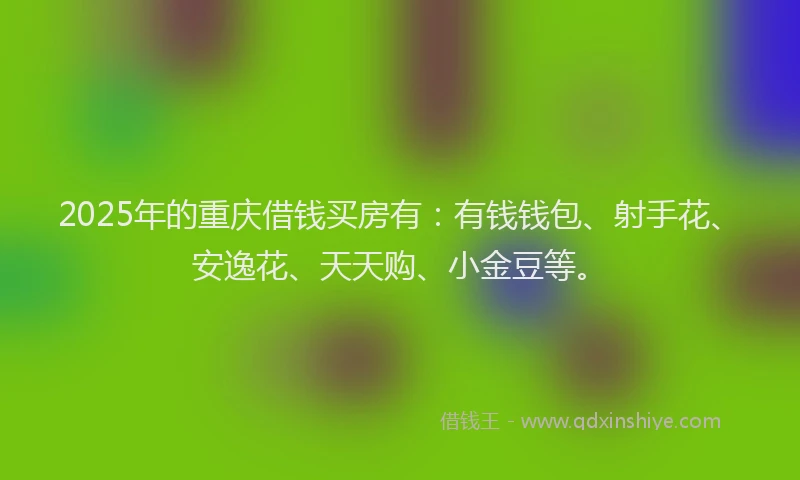 2025年的重庆借钱买房有：有钱钱包、射手花、安逸花、天天购、小金豆等。