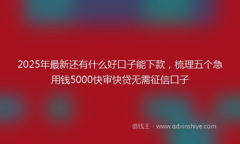 2025年最新还有什么好口子能下款，梳理五个急用钱5000快审快贷无需征信口子