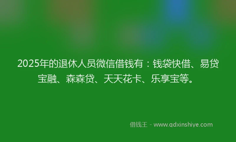 2025年的退休人员微信借钱有：钱袋快借、易贷宝融、森森贷、天天花卡、乐享宝等。