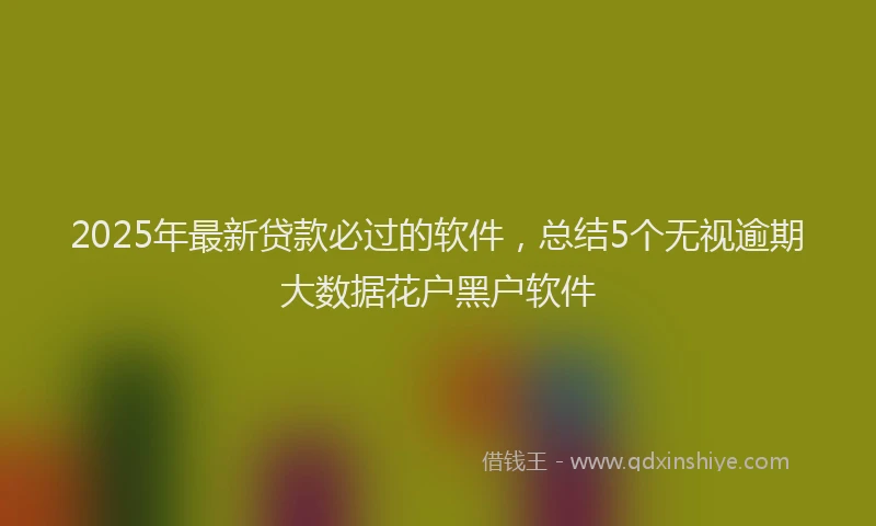 2025年最新贷款必过的软件,总结5个无视逾期大数据花户黑户软件