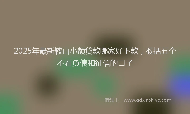 2025年最新鞍山小额贷款哪家好下款，概括五个不看负债和征信的口子