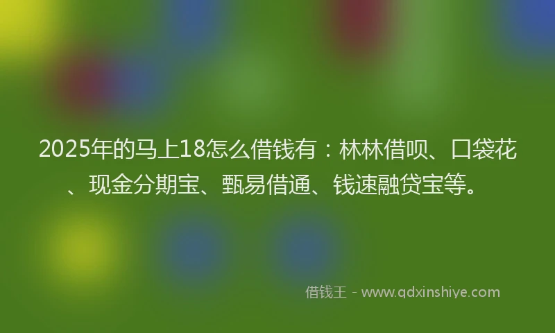 2025年的马上18怎么借钱有：林林借呗、口袋花、现金分期宝、甄易借通、钱速融贷宝等。