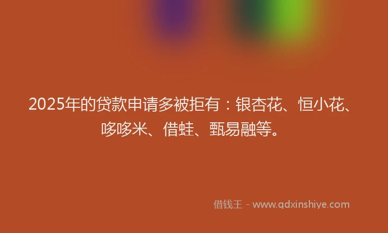 2025年的贷款申请多被拒有：银杏花、恒小花、哆哆米、借蛙、甄易融等。