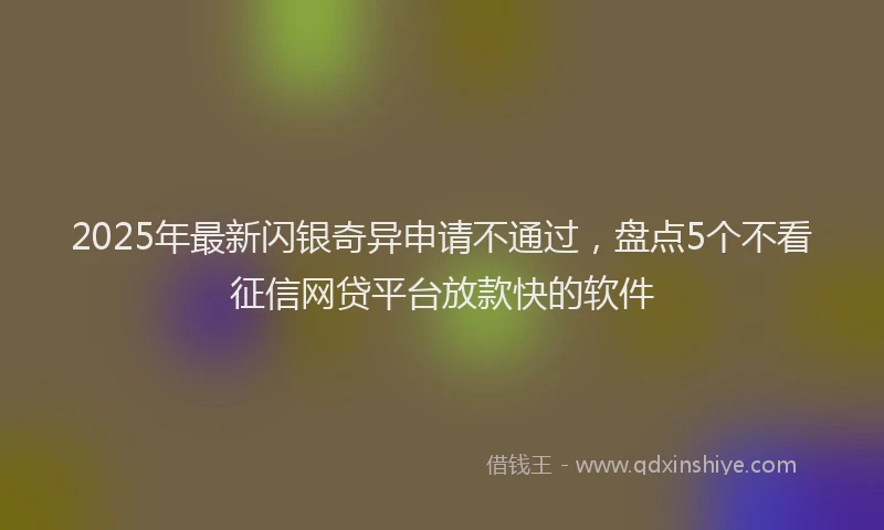 2025年最新闪银奇异申请不通过，盘点5个不看征信网贷平台放款快的软件