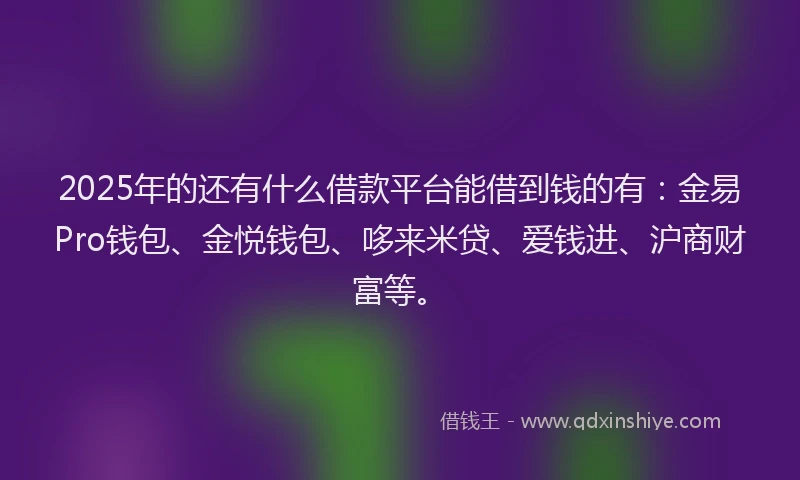 2025年的还有什么借款平台能借到钱的有：金易Pro钱包、金悦钱包、哆来米贷、爱钱进、沪商财富等。