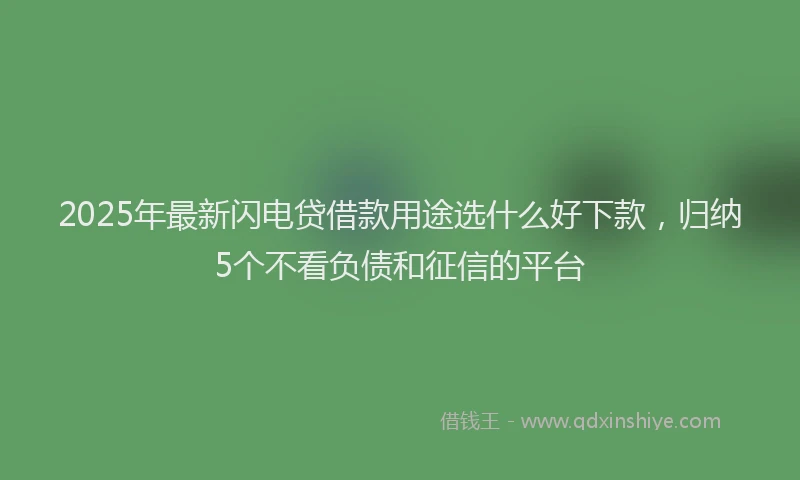 2025年最新闪电贷借款用途选什么好下款，归纳5个不看负债和征信的平台